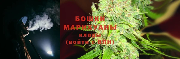 прущие грибы Абаза
