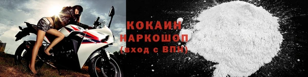 прущие грибы Абаза
