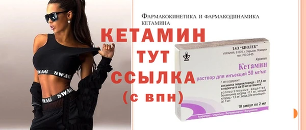 прущие грибы Абаза
