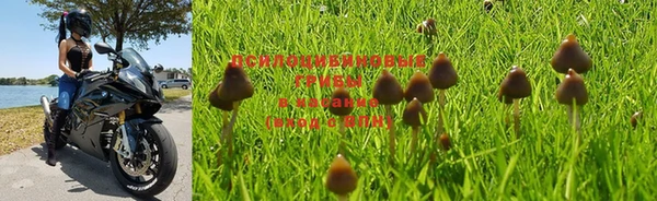 дживик Абдулино