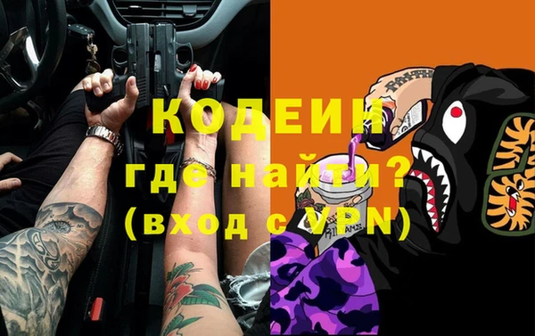прущие грибы Абаза
