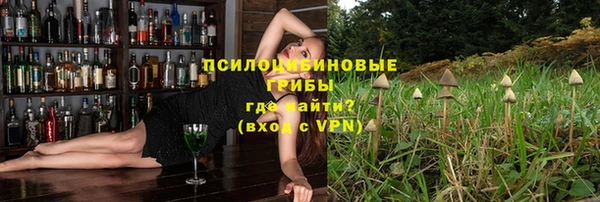 прущие грибы Абаза
