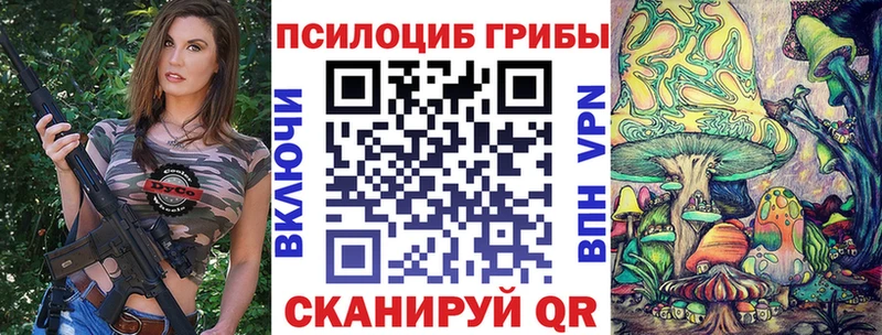 Галлюциногенные грибы ЛСД  Судогда 